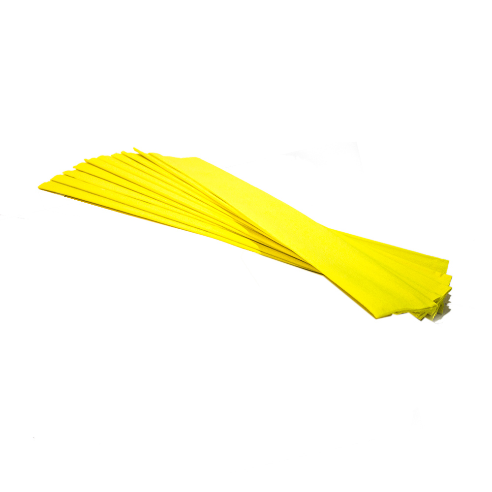 gal-60719fdbe2a9bYellow-2.jpg